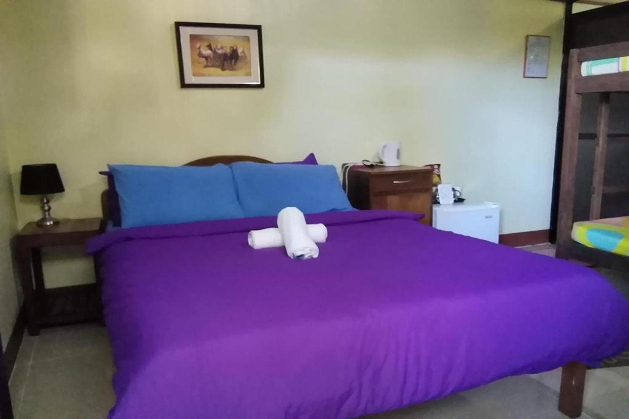 Citadel Bed And Breakfast Puerto Princesa Extérieur photo